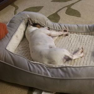 Meet your Posher, Deena